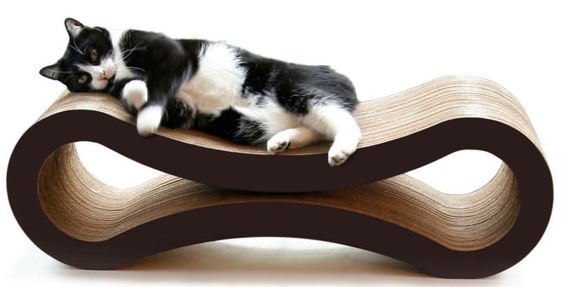Illustration for article titled Stupid Shit I've Bought for My Cat in an Attempt to Make Her Love Me